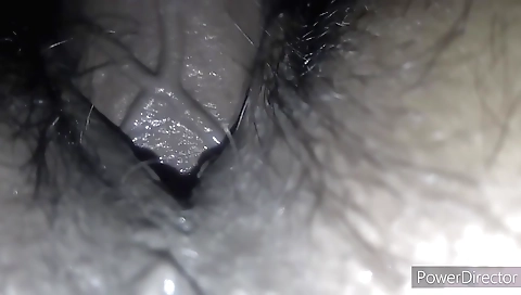 Indian babe with hairy pussy takes his dick inside her