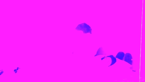 Indian webcam show about a small tanned body and a cute smile