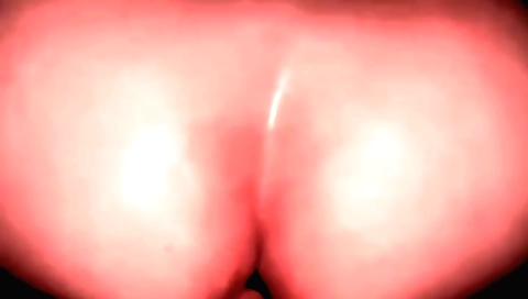 A big ass amateur chick shows off her perfect ass in a porn clip